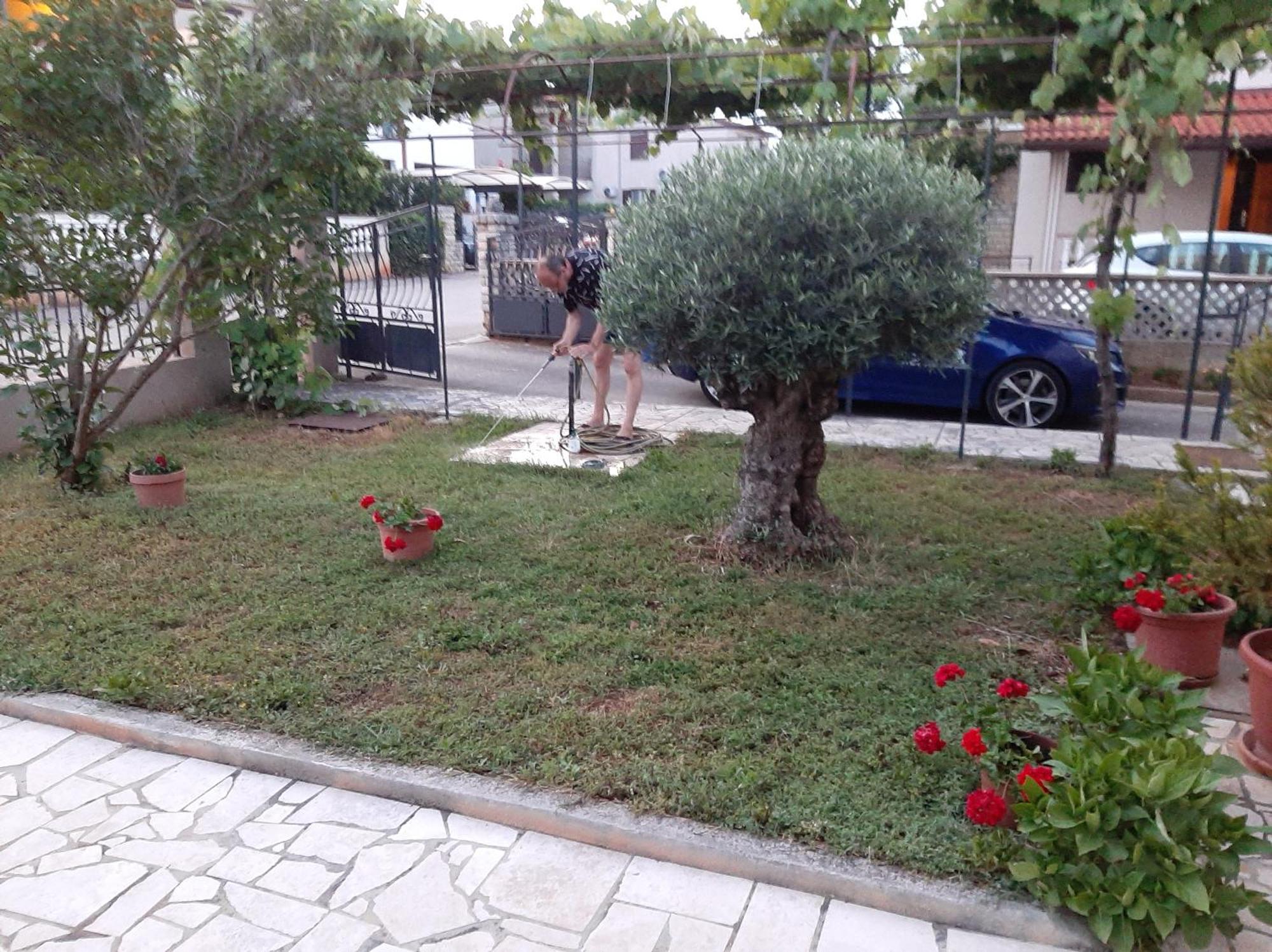 Apartment Stefania Rovinj Værelse billede